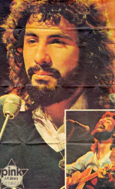 Cat Stevens Poster