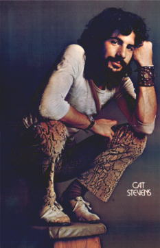 Cat Stevens Poster